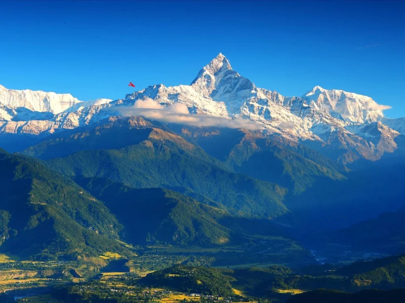 Golden Triangle Luxury Tour