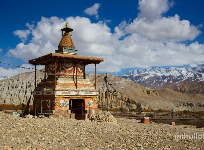 Tours & Travel agency