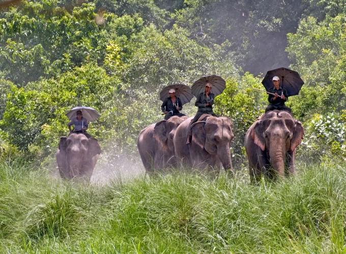 Bardiya Jungle Safari