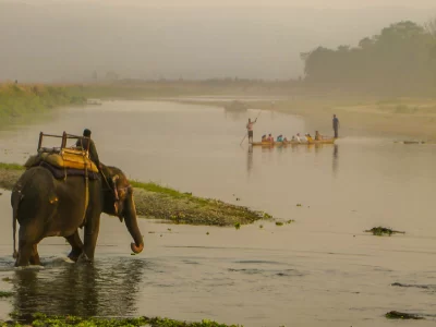 Chitwan Jungle Safari