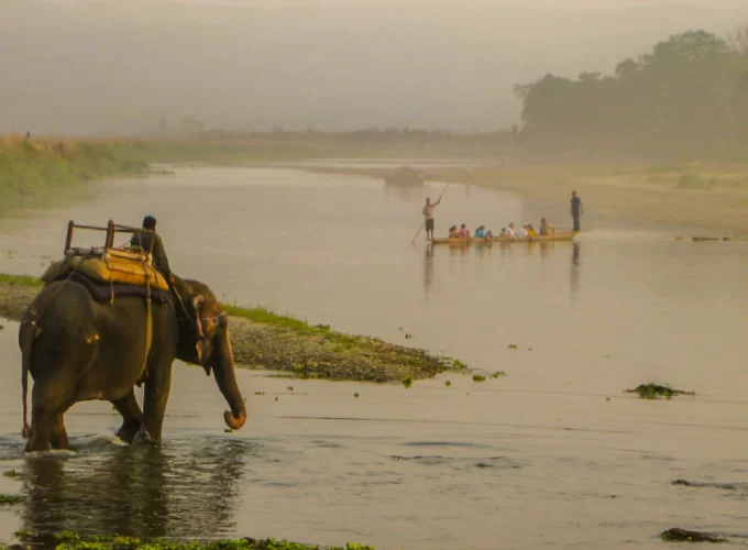 Chitwan Jungle Safari