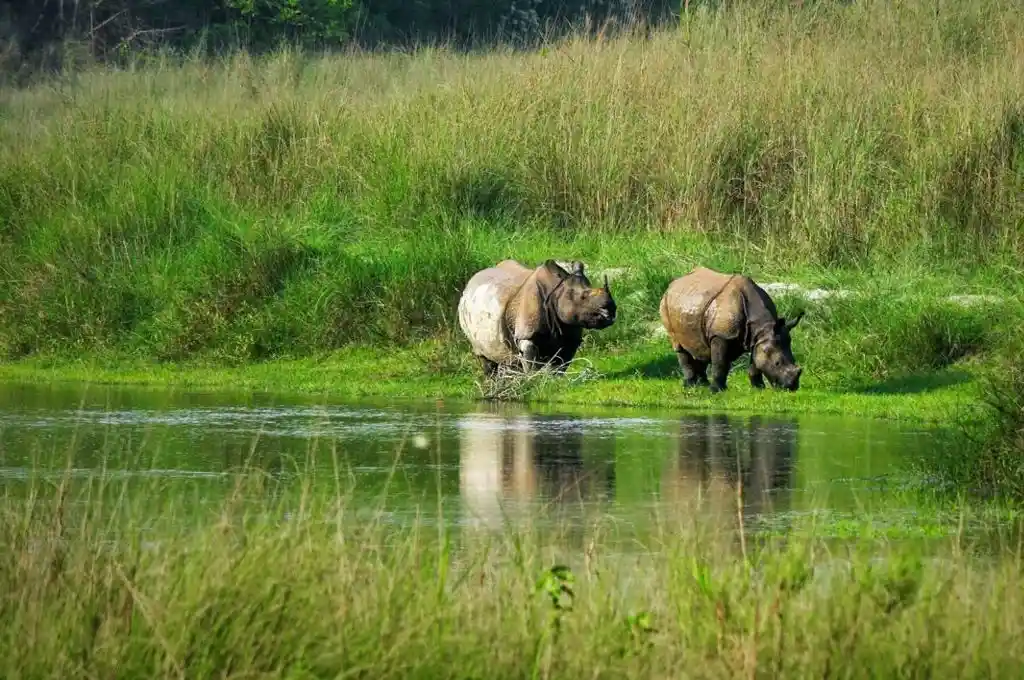 bardia conservation area