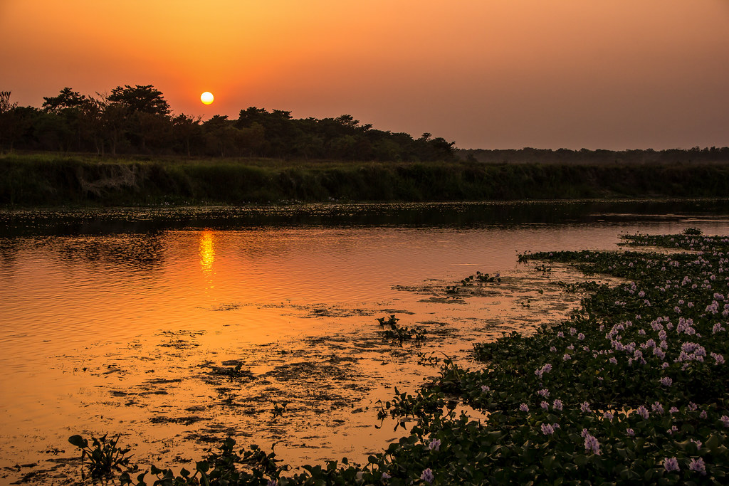 chitwan