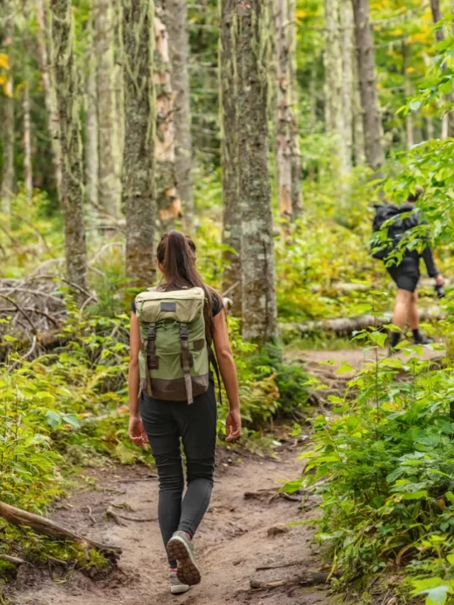 Top Hiking Destinations In Nepal