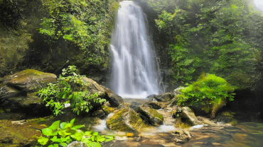 Simba WaterFall