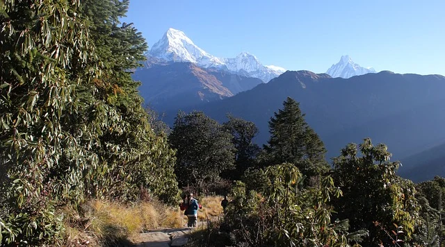 langtang valley view