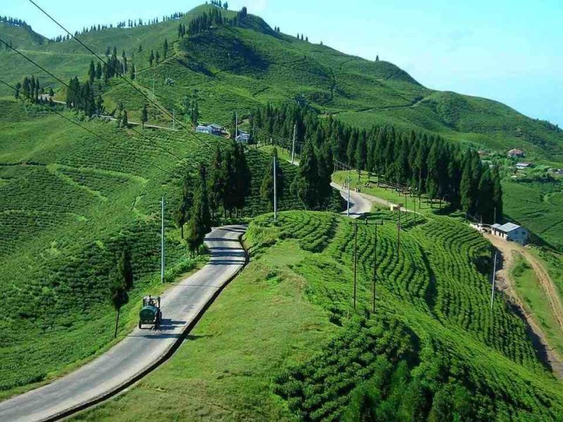 Ilam | The Land of Tea Gardens